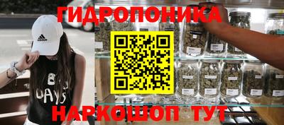 скорость Кинель