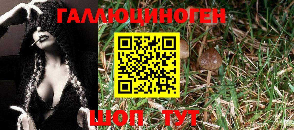 Балашов  Галлюциногенные грибы прущие грибы  Вход с VPN  Псилоцибиновые грибы MAGIC MUSHROOMS 